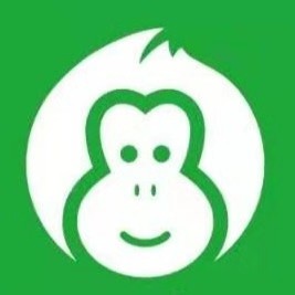 安徽水果猴品牌童装运营公司