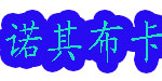 上海诺其布卡贸易有限公司