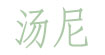 汤尼