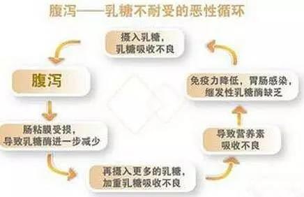 乳糖酶 为什么有的孩子吃了还是腹泻?_品牌童装网