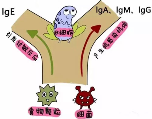 越来越多宝宝过敏 原因你想都想不到!_品牌童