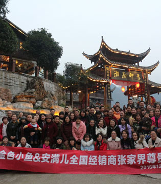 金色小鱼,新年祝福语