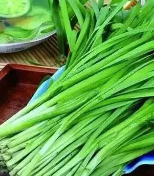 滋补,食物,养心的食物,养肝的食物,养脾的食物,养肺的食物