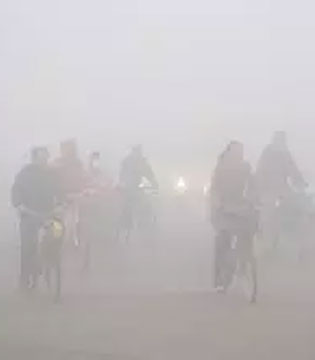 雾霾,羊奶,润肺止渴