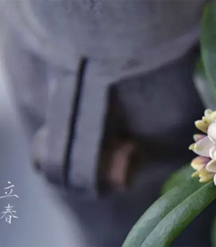 立春,节后综合症