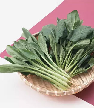 长高,长高的食谱,发育