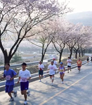 春节,减肥,健身,跑步