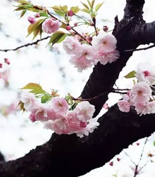 保暖,防止感冒