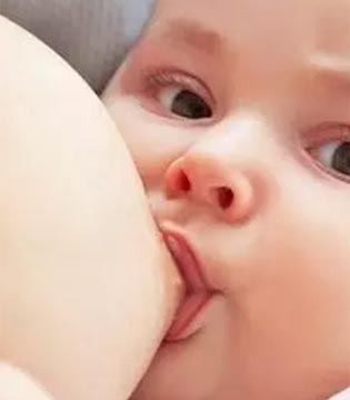 免疫系统,母乳喂养