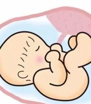 多能羊,脐带护理,新生儿脐炎