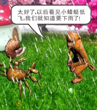 枕边故事,预知下雨,小熊尼奥