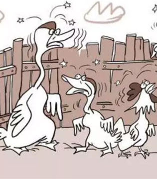 H7N9,禽流感,预防措施