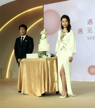 林心如,产后,复出,首秀