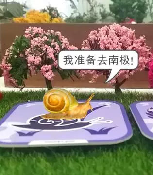 小蜗牛,枕边故事,南极