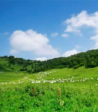 和氏乳业,高寒川牧场,中国乳业