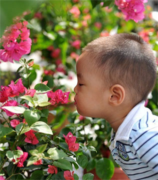 妈妈小贴士,花草,宝宝健康