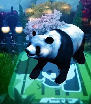 枕边故事,小熊猫,小熊尼奥