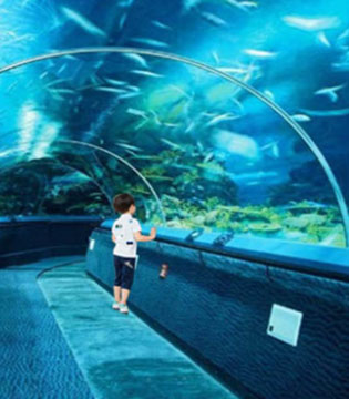 贝布熊,旅游记,海洋世界