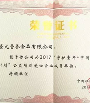 圣元,公益项目,荣誉证书