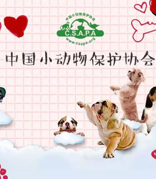拯救汪星人,暇步士童装