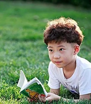 善意的谎言,聪明而不用心,努力