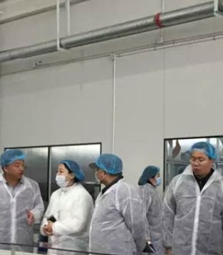 百跃古象,智能工厂,生产试运行