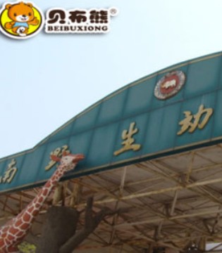 贝布熊,旅游记,济南野生动物园