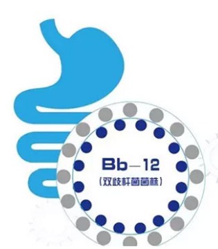 宜品,奶粉,益生菌