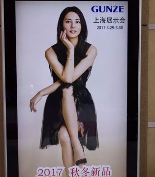 郡是,新品,展示会