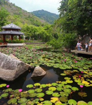 贝布熊,旅游记,亚龙湾热带天堂森林公园