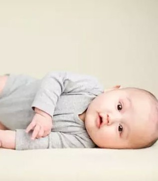 婴幼儿营养,乳清蛋白,营养成分