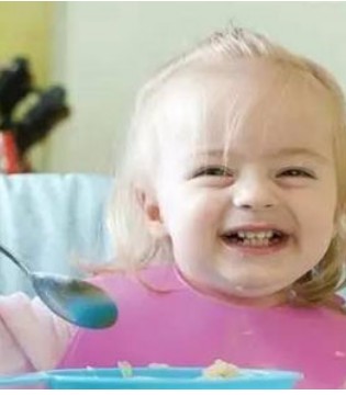 奶米粉,婴幼儿辅食,营养米粉