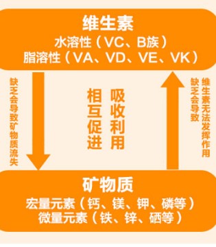 维生素,矿物质,记忆减退
