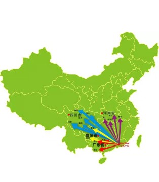 巴迪小虎,走访,战略性合作