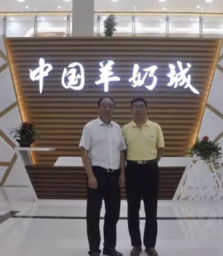 羊奶城,王伟民,乳品安全