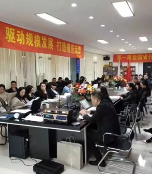 林芊国际,第一届省代大会,发展