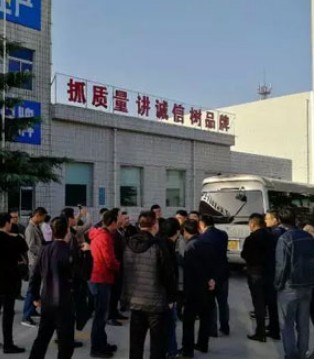 羊乳,配方注册,奶粉