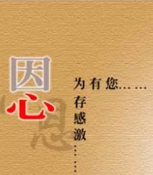 感恩节,感恩,小猪丹尼