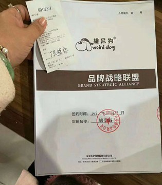 维尼狗,品牌,童装,签约,新店
