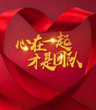 法纳贝儿,团队建设,团队