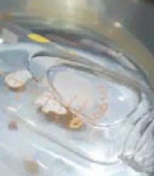 宝宝,奶瓶,奶瓶消毒,消毒方法