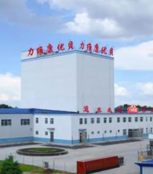 力维康,集团成立,产业优化