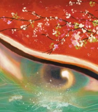 虹猫蓝兔,中国动画,电影,票房下滑