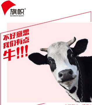旗帜,鲜活好奶粉,奶粉