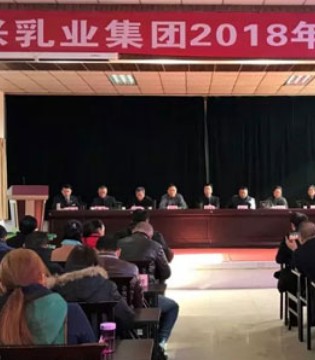宏兴乳业,工作会议,奶粉