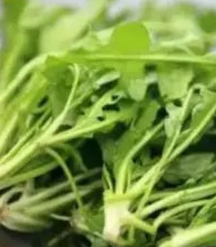 眼睛,食物,荠菜