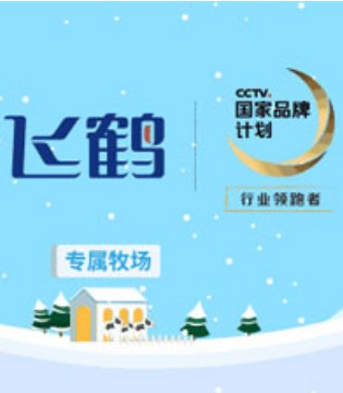 飞鹤奶粉,跨年夜话题活动,获奖者