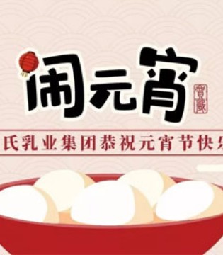 和氏,元宵节,元宵快乐