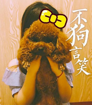 ABCKIDS,汪星人,狗年元宵