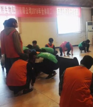 和天然,全体员工,回归之旅